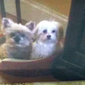 Meet your Posher, Roberta